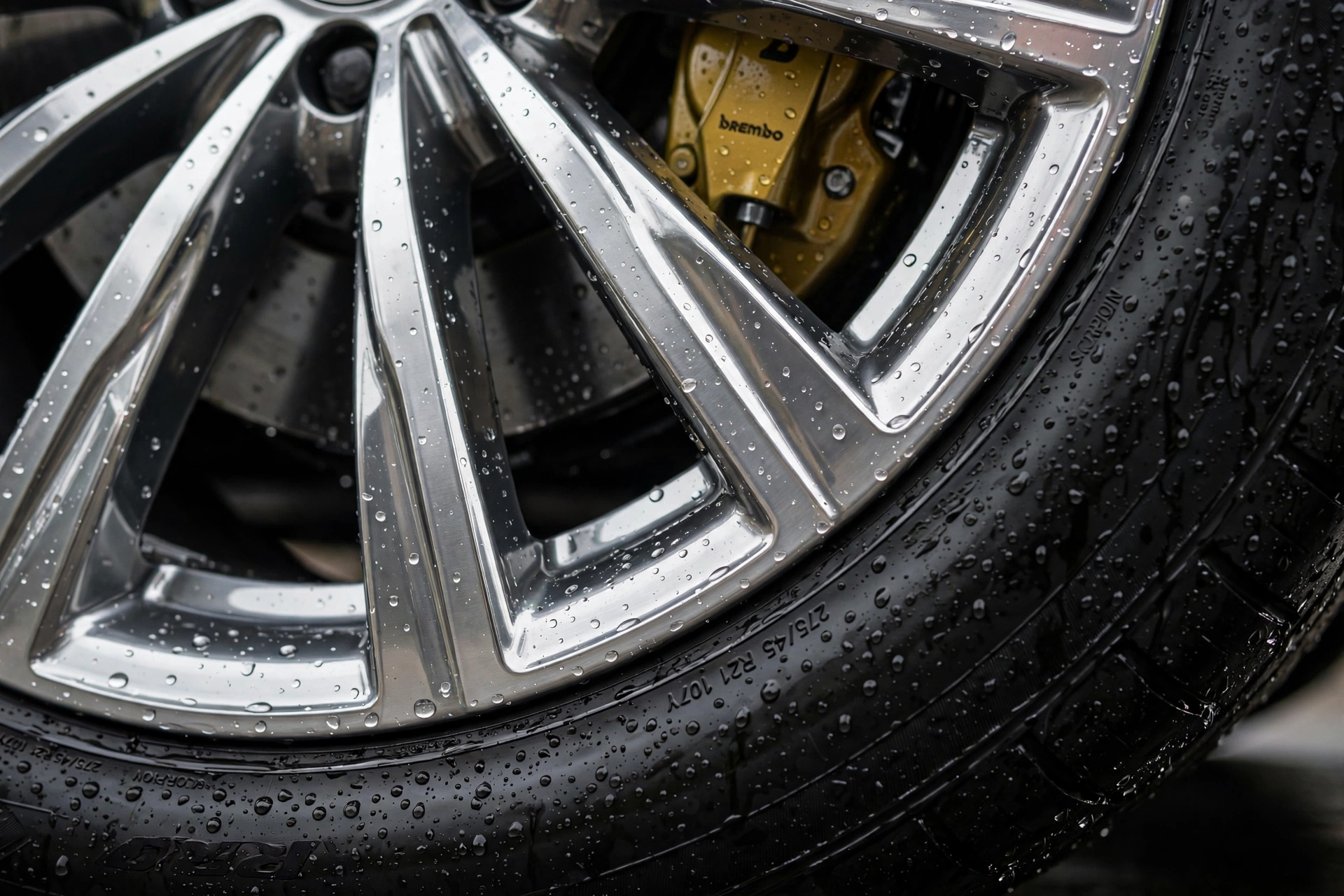 Shiny detailed alloy wheel and tire